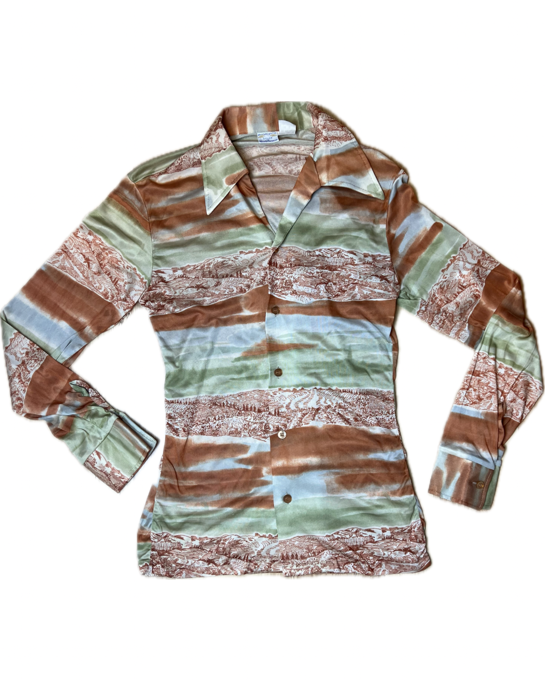 1970s STYLED IN CALIFORNIA LANDSCAPE DISCO SHIRT