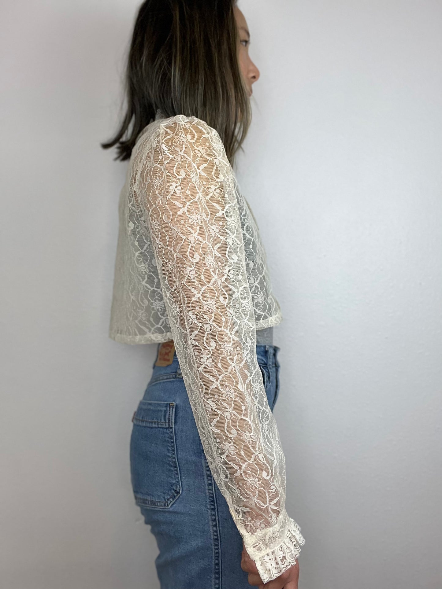 Floral Lace Sheer Cropped Blouse