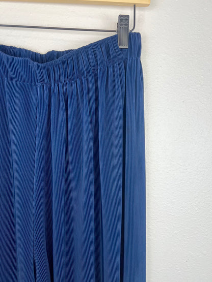 NAVY PLEATED PANTS - WAIST 27"-30"