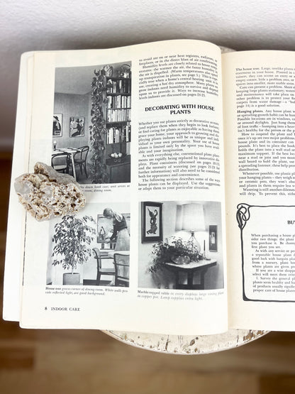 How to Grow House Plants Book