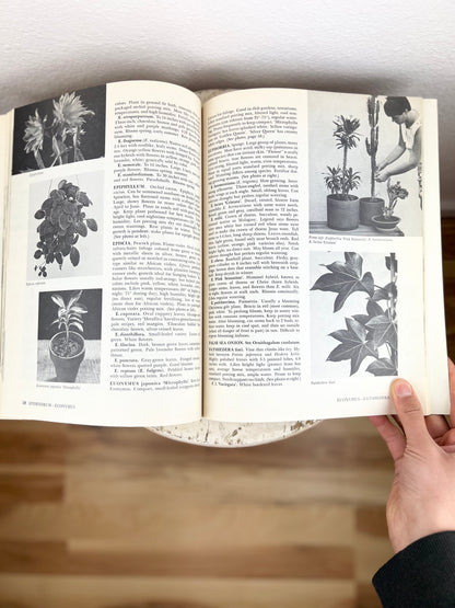 How to Grow House Plants Book