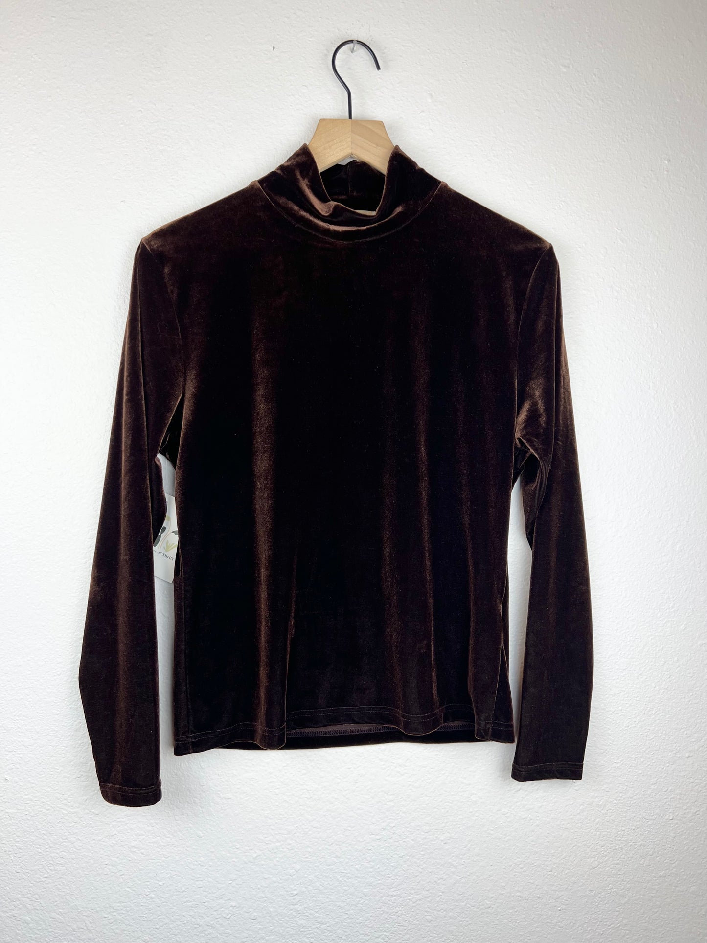 Brown Velvet Mock Neck Long Sleeve Top