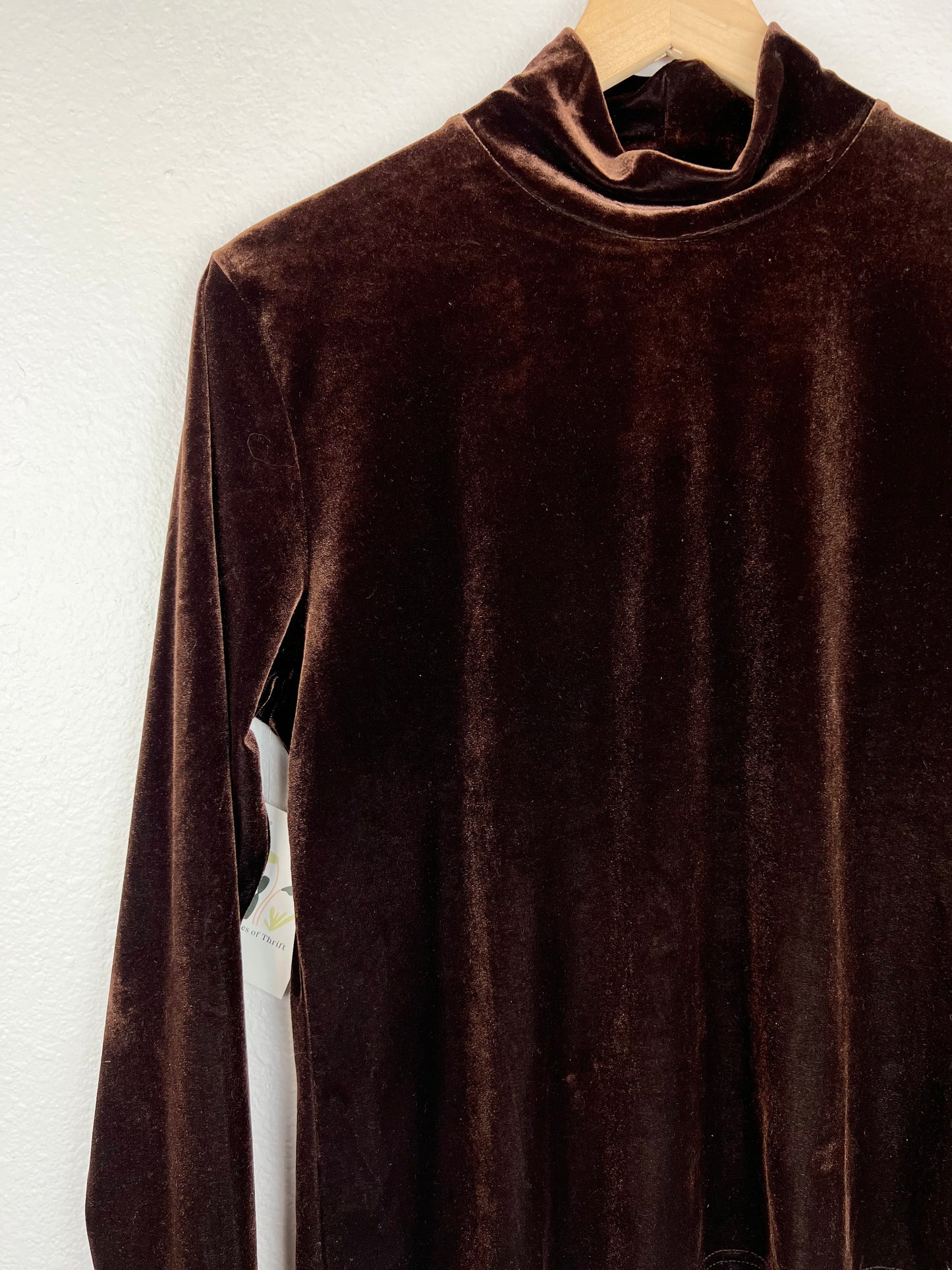 Brown Velvet Mock Neck Long Sleeve Top