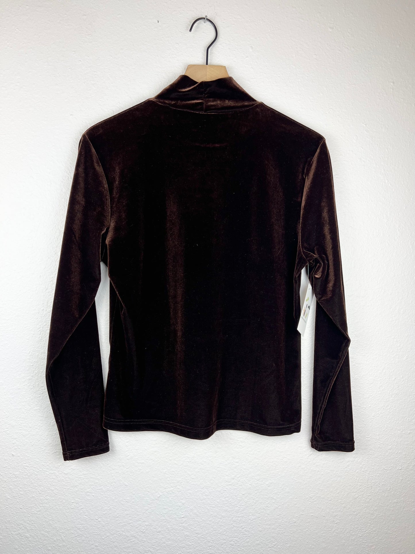 Brown Velvet Mock Neck Long Sleeve Top